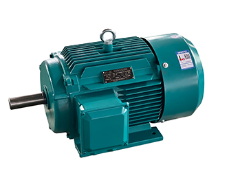 YE3系列高效節(jié)能三相異步電動(dòng)機(jī)